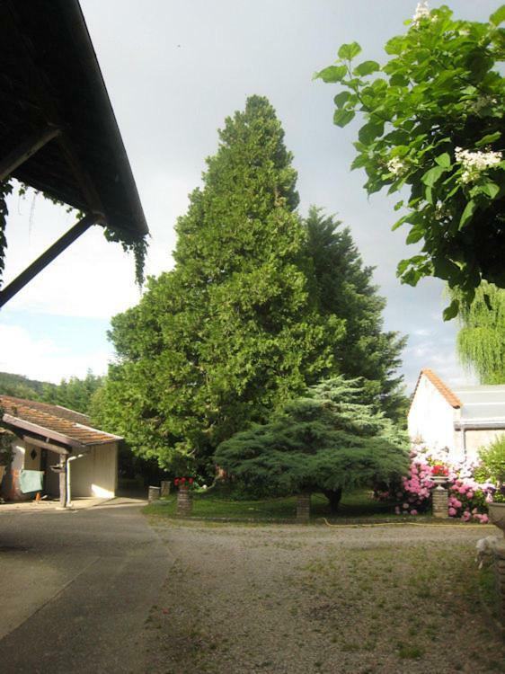 Villa Dufresne ベノ エクステリア 写真